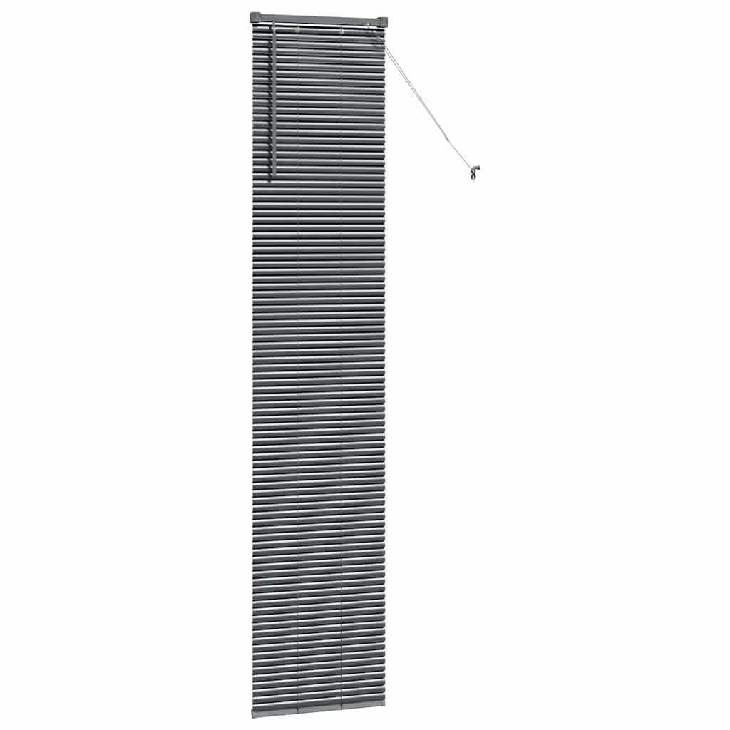 vidaXL Βενετσιάνικες Ρόδες Σκούρο Γκρι 220 x 40 εκ Αλουμίνιο