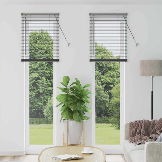 vidaXL Βενετσιάνικες Ρόδες Σκούρο Γκρι 220 x 55 εκ Αλουμίνιο