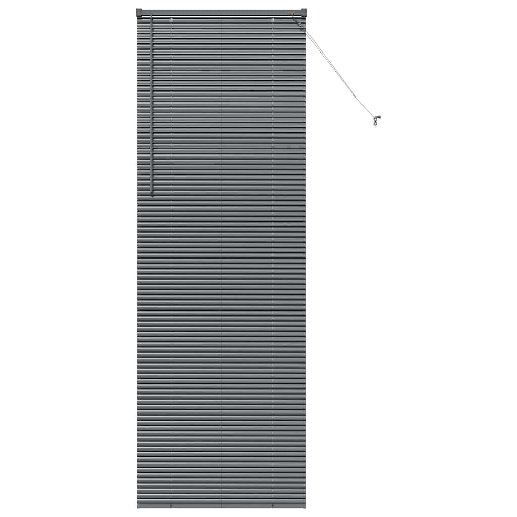 vidaXL Βενετσιάνικες Ρόδες Σκούρο Γκρι 220 x 70 εκ Αλουμίνιο