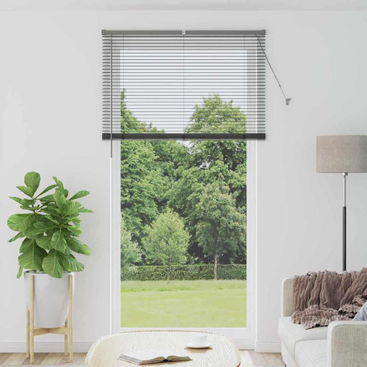 vidaXL Βενετσιάνικες Ρόδες Σκούρο Γκρι 220 x 120 εκ Αλουμίνιο