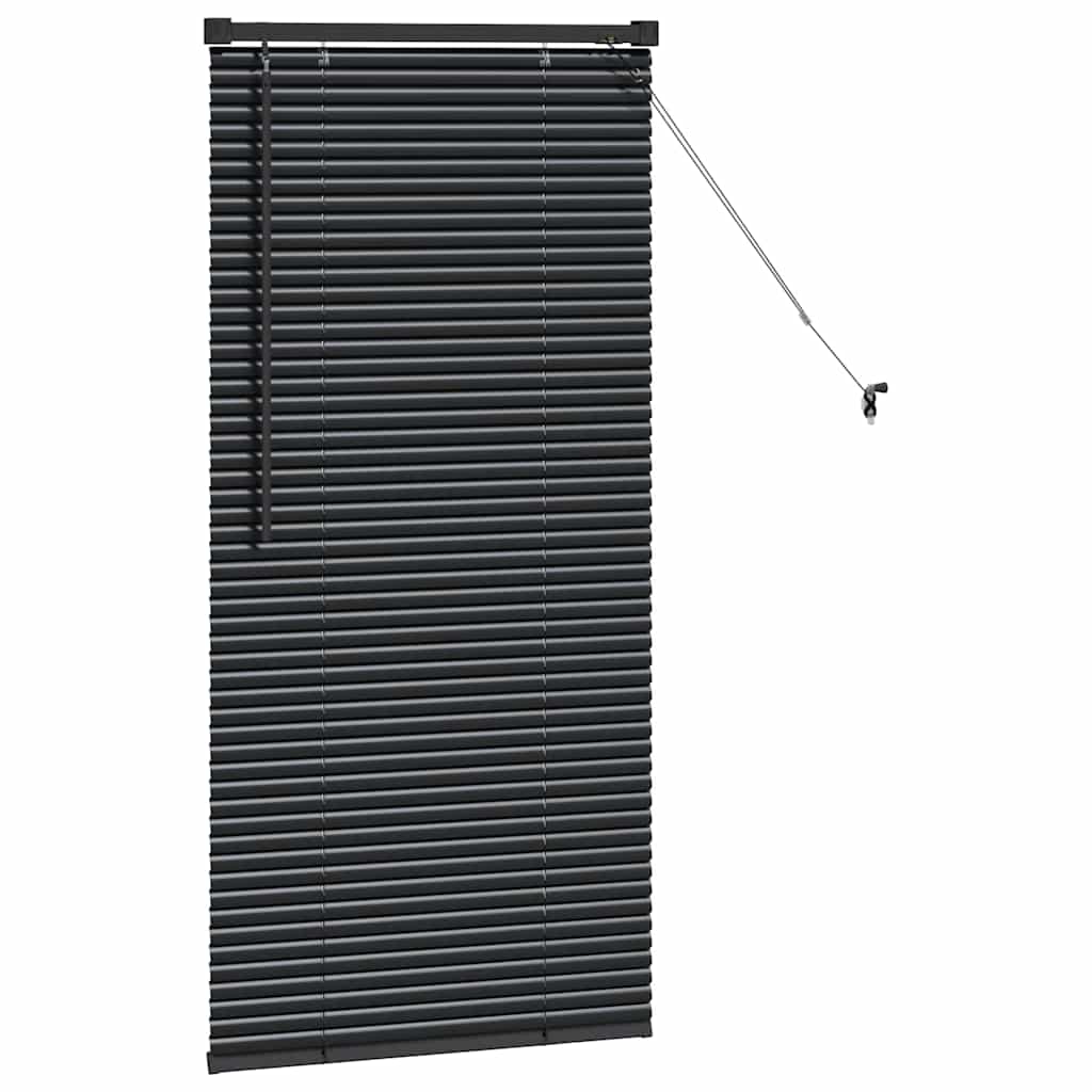 vidaXL Βενετσιάνικες Ρόδες Μαύρο 60 x 2,5 x 130 εκ Αλουμίνιο