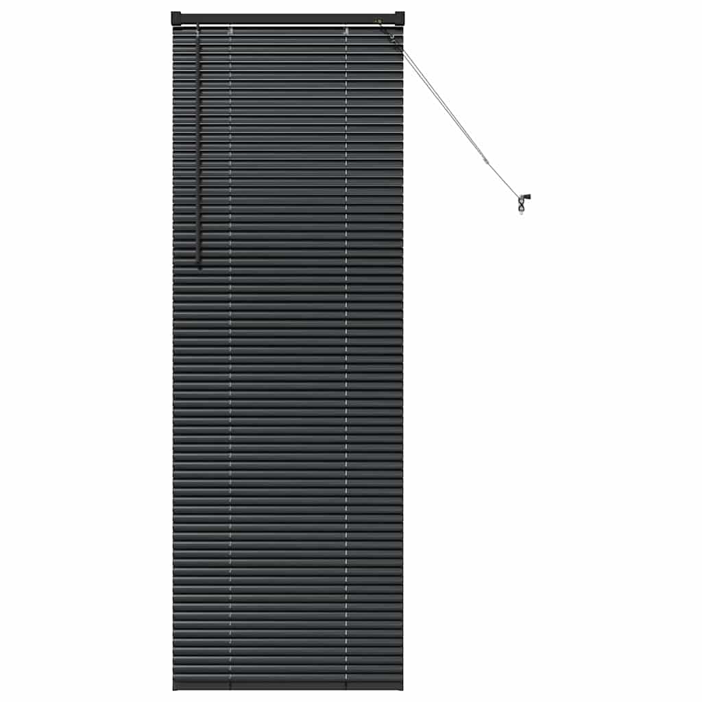vidaXL Βενετσιάνικες Ρόδες Μαύρο 175 x 65 εκ Αλουμίνιο