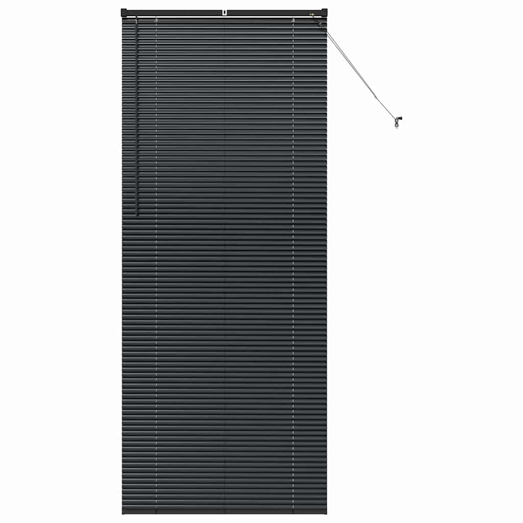 vidaXL Βενετσιάνικες Ρόδες Μαύρο 220 x 95 εκ Αλουμίνιο