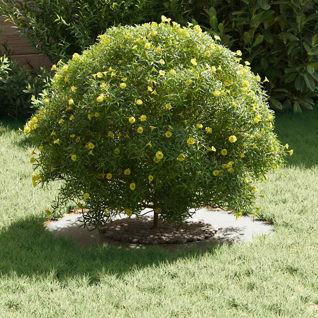 vidaXL κατάλληλο για επίπεδα δαχτυλίδια δέντρου 5 pcs Λευκό Ø30 / 60 εκ.