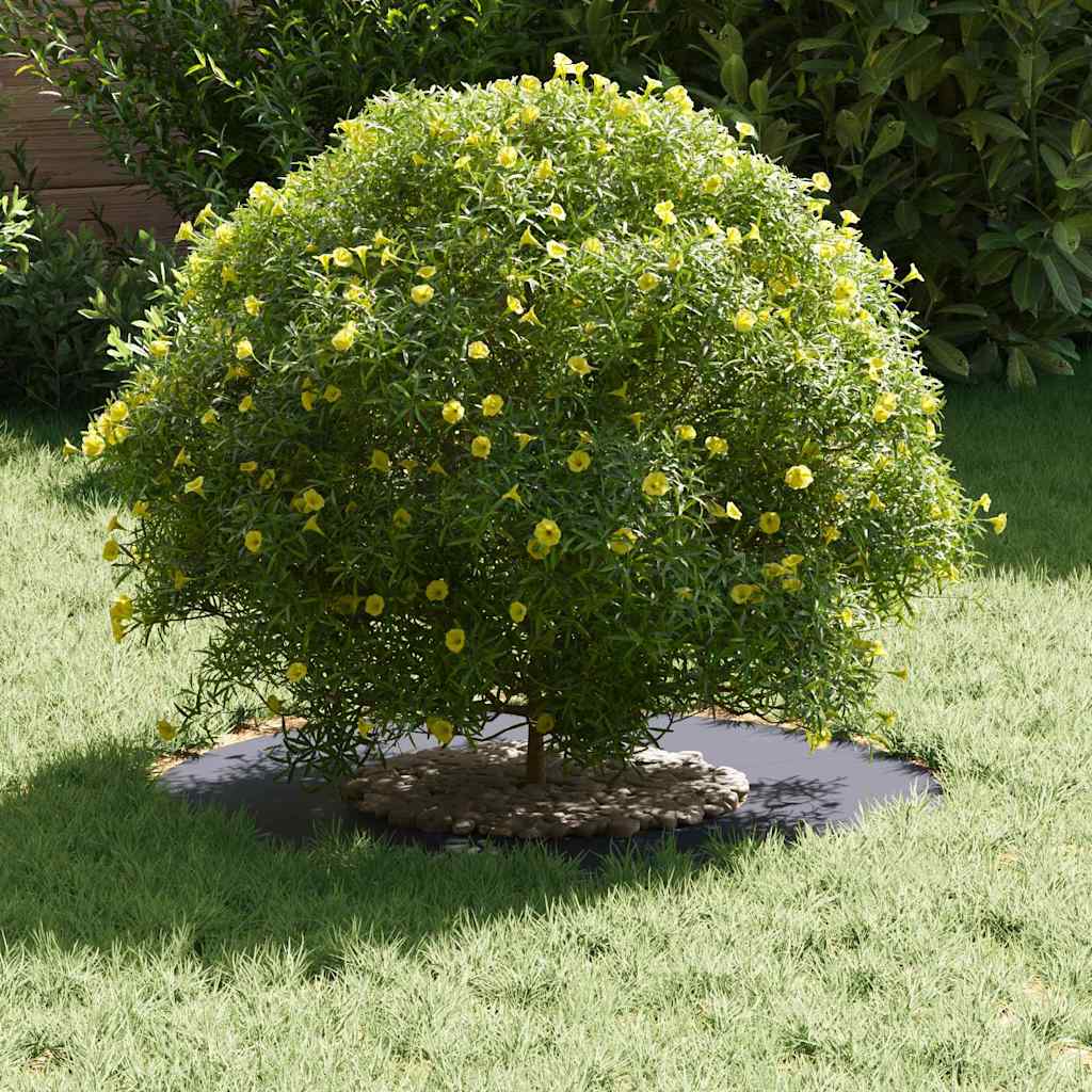 vidaXL κατάλληλο για επίπεδα δαχτυλίδια δέντρου Ανθρακί Ø30 / 60 εκ.