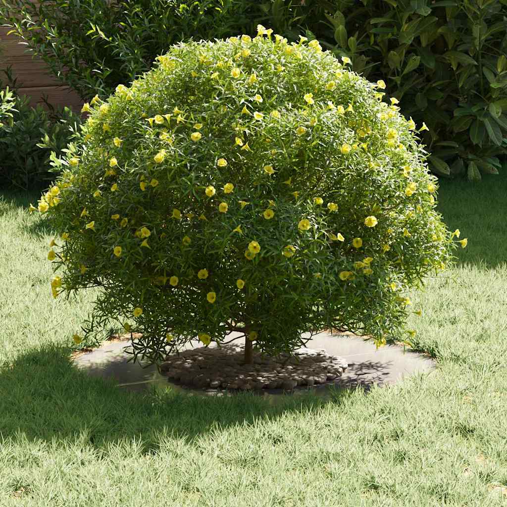 vidaXL κατάλληλο για επίπεδα δαχτυλίδια δέντρου Ασημί Ø30 / 60 εκ.