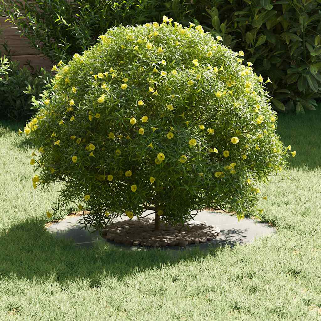 vidaXL κατάλληλο για επίπεδα δαχτυλίδια δέντρου Ασημί Ø30 / 60 εκ.