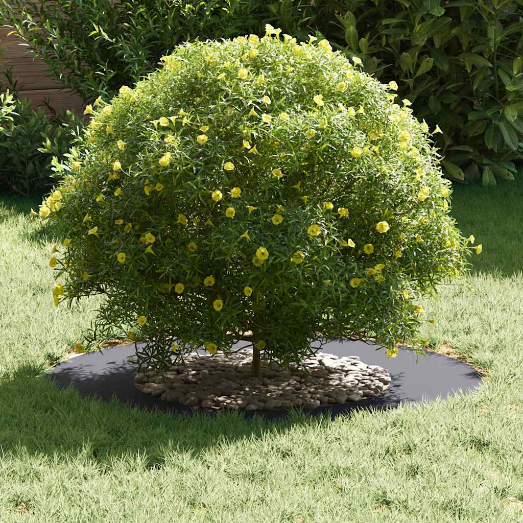 vidaXL κατάλληλο για επίπεδα δαχτυλίδια δέντρου Ανθρακί Ø40 / 70 εκ.