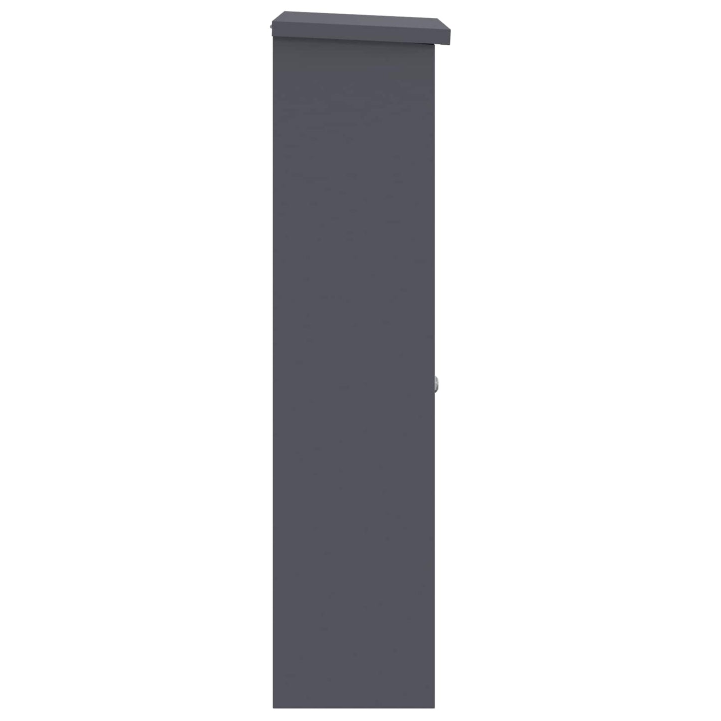 vidaXL Θυρίδα Πακέτων με πόρτα Ανθρακί 44,5 x 29 x 110,5 εκ Ατσάλι