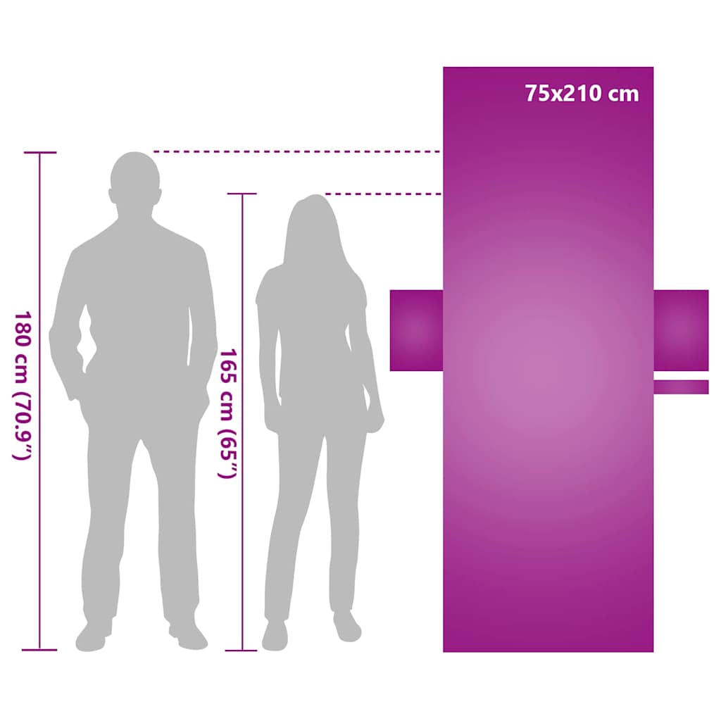 vidaXL Πετσέτες ξαπλώστρας 2 pcs Μαύρο 210 x 75 cm