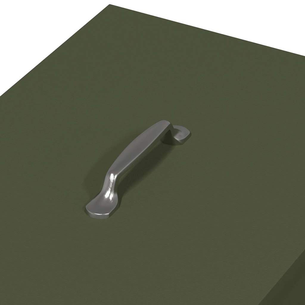 vidaXL Ταΐστρα κοτόπουλων Ελιά Πράσινη 40,5 x 45 x 41 cm