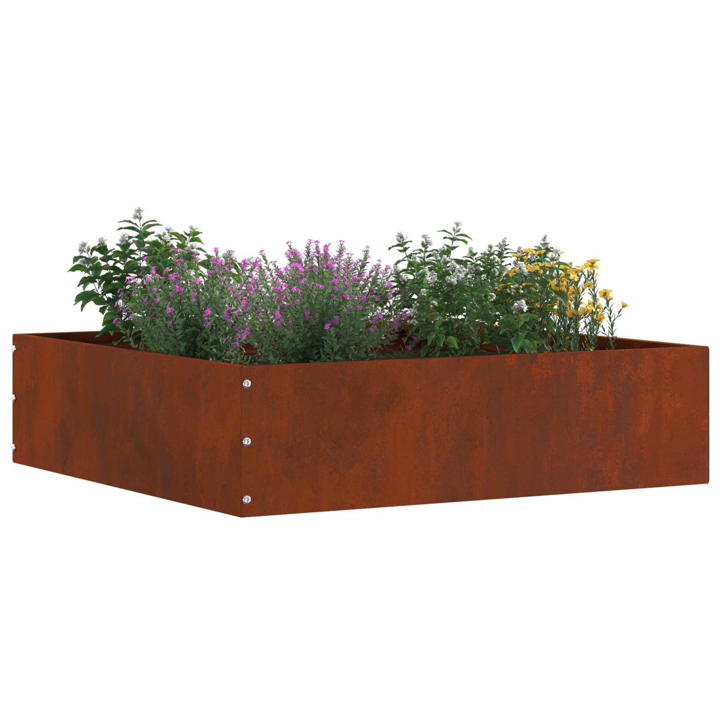 vidaXL Περίγραμμα γκαζόν 50 x 50 x 13 εκ Σκ rusty