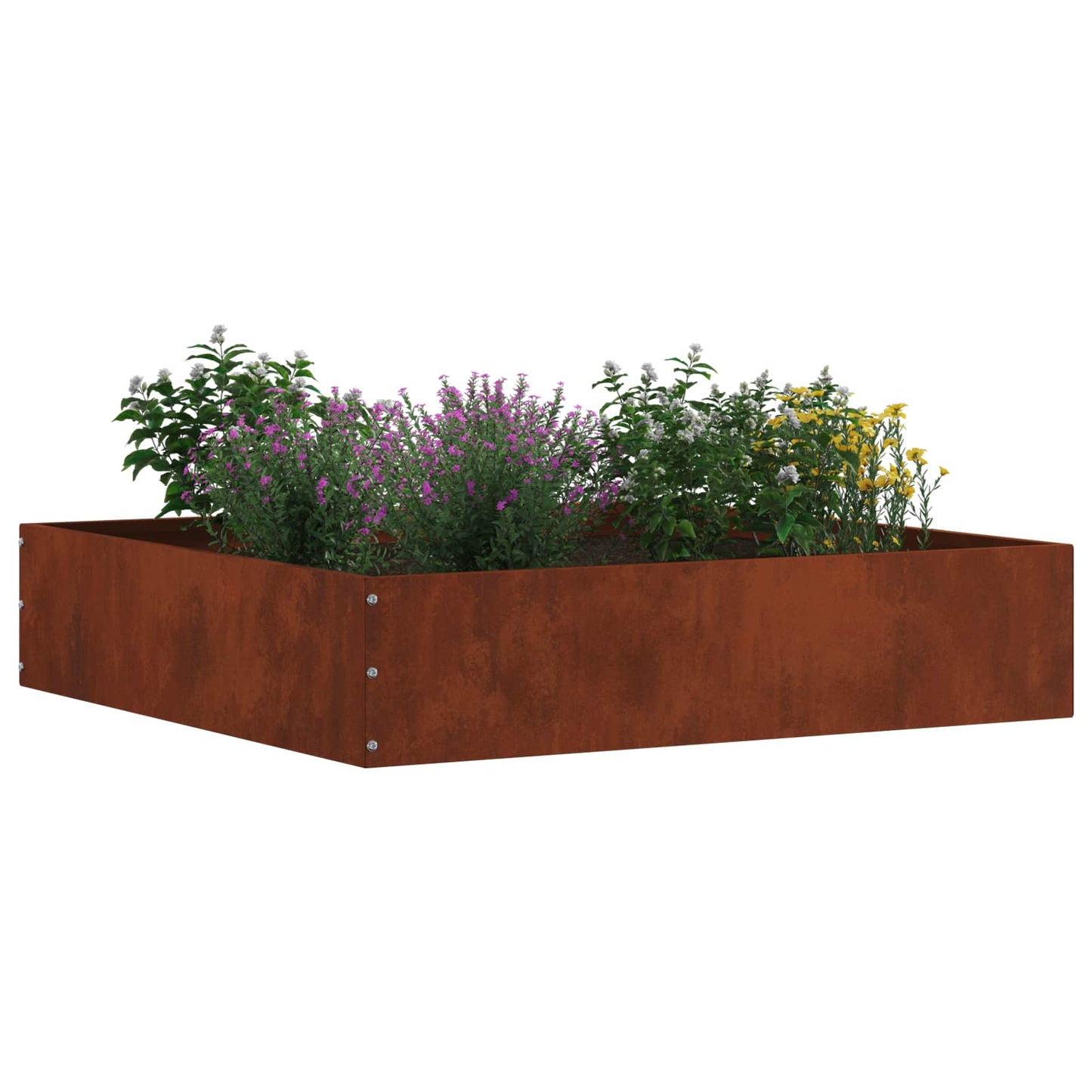vidaXL Περίγραμμα γκαζόν 60 x 60 x 13 εκ Σκ rusty