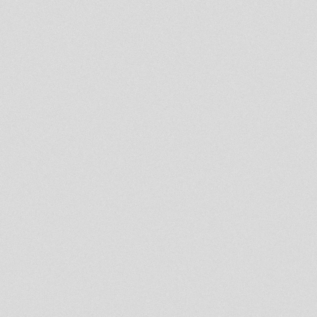 vidaXL κατάλληλο για επίπεδη στήριξη ταπήτων 3 pcs Ασημί 100-145 εκ