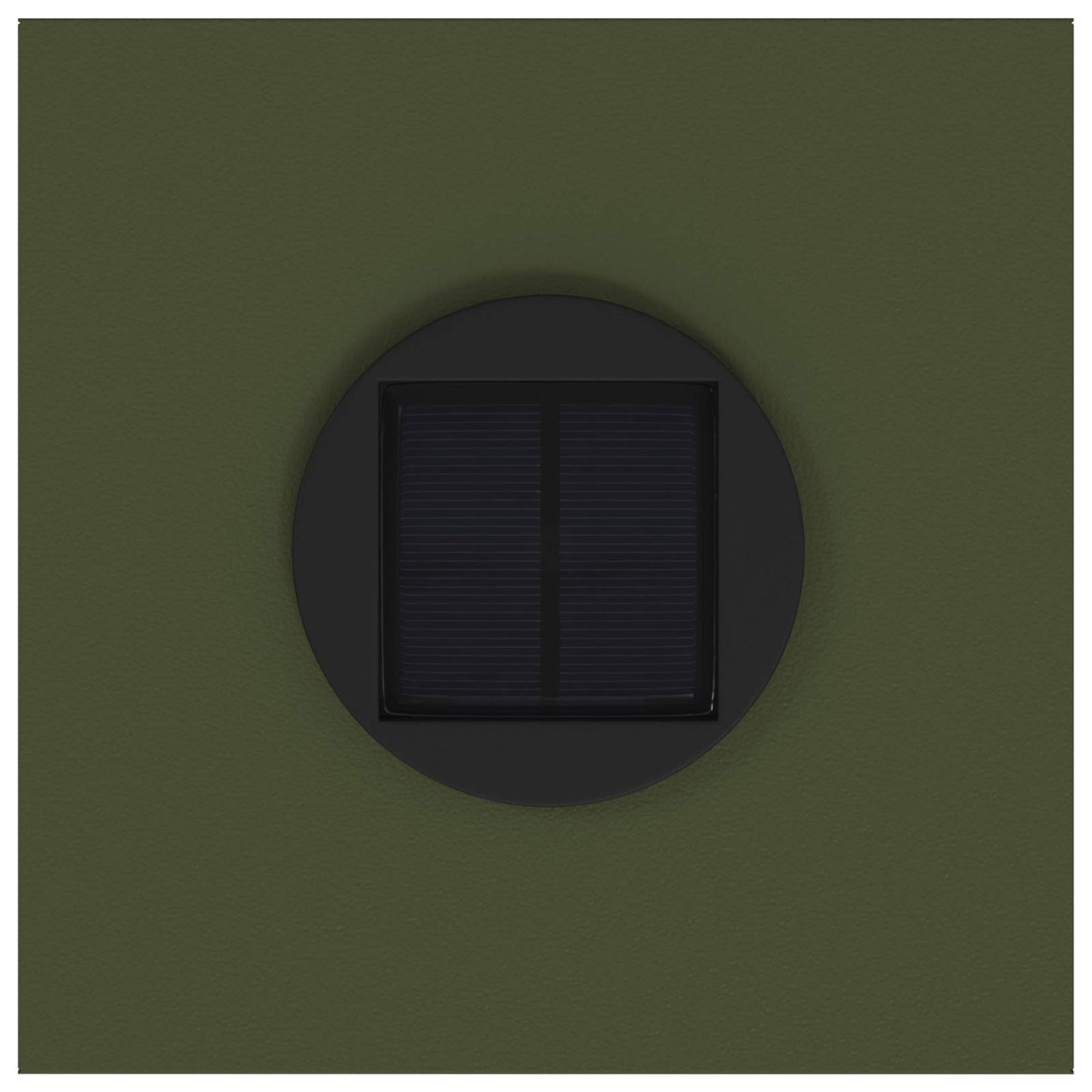 vidaXL Φωτιστικό Ηλιακής Ενέργειας LED Διαδρομής 2 pcs Ελιά Πράσινη