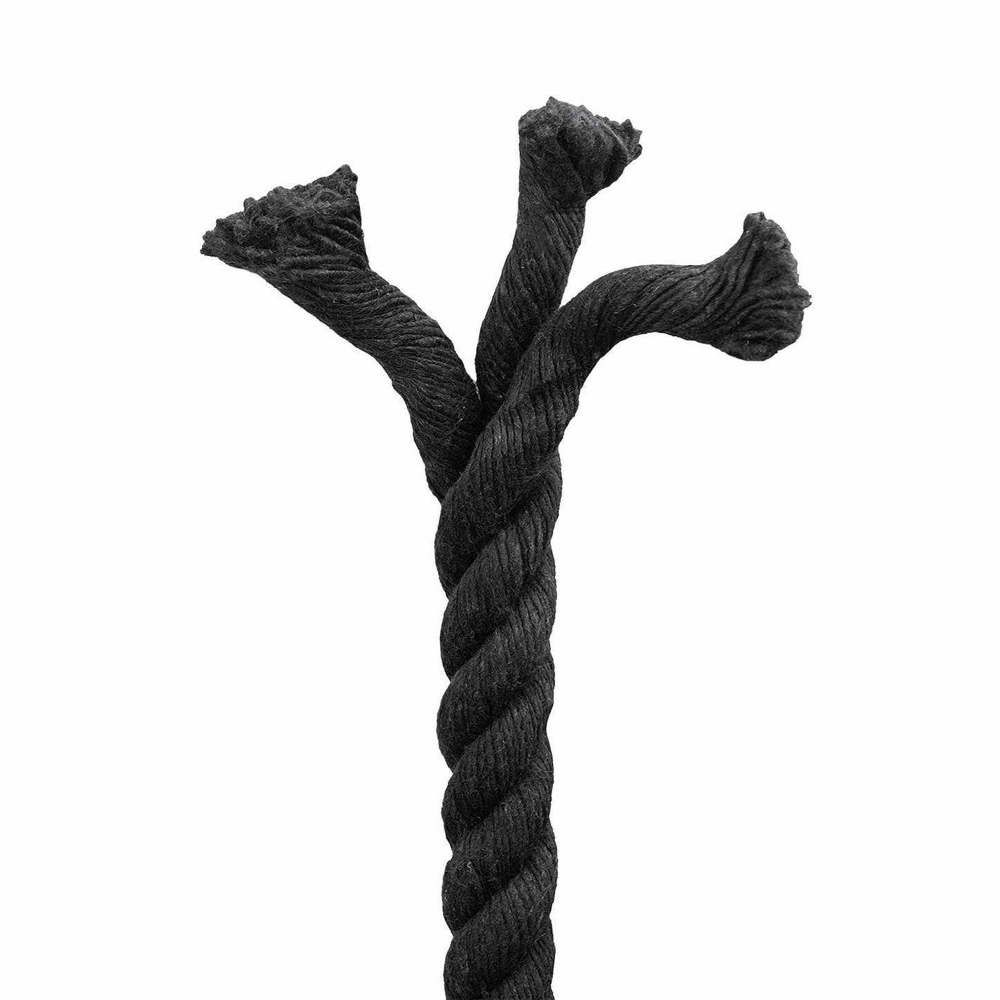 vidaXL Κωτόσχοινo 16 mm 50 m Μαύρο 100% Βαμβάκι