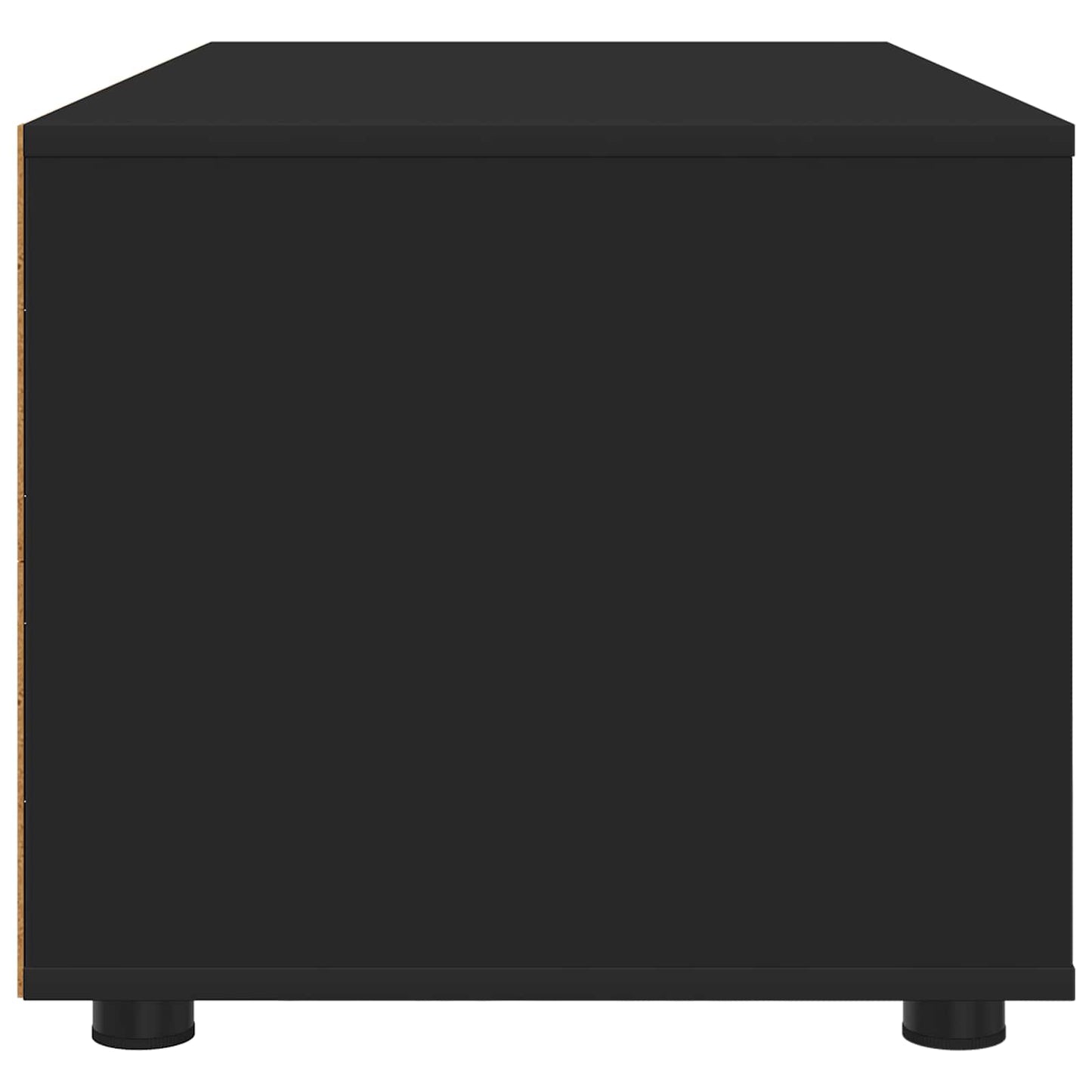 vidaXL Ντουλάπι TV 100 x 48 x 43 εκ. Μαύρο Επεξεργασμένο Ξύλο