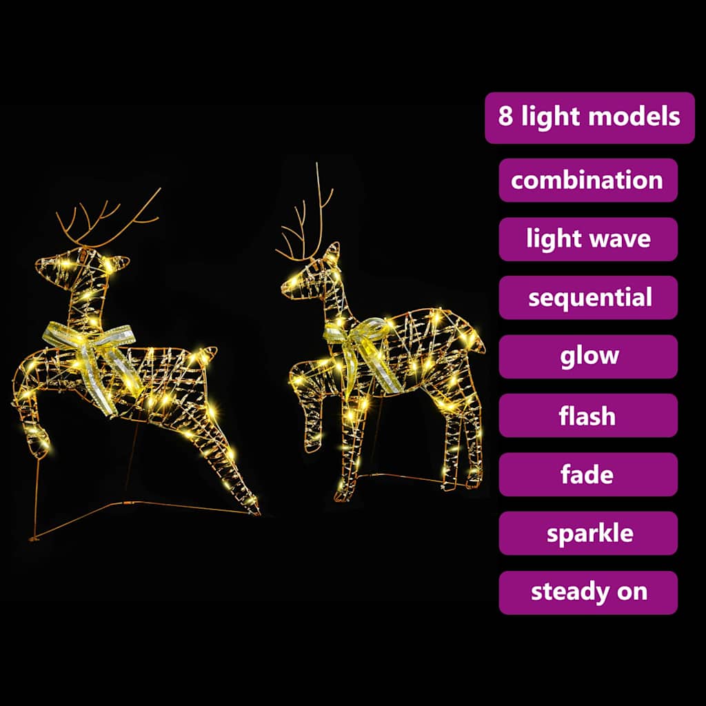 vidaXL LED Ρούντερ με 40 LED 2 pcs Θερμό λευκό PET
