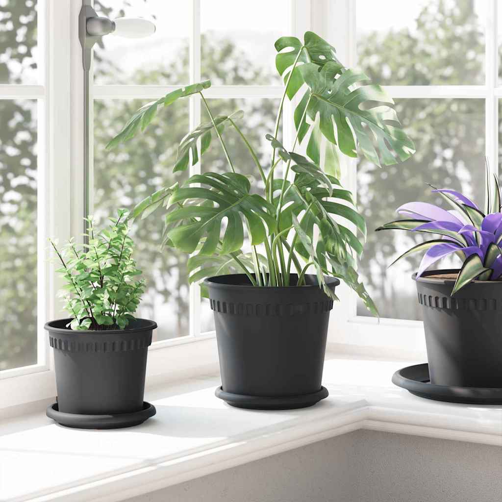 vidaXL Στρογγυλή Γλάστρα Λουλουδιών 6 pcs Μαύρο Ø 19 x 16 εκ Πλαστικό
