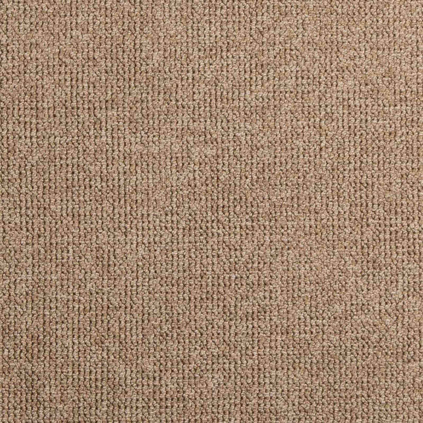 vidaXL Χαλιά χώρου Ορθογώνιος AGIRA Φυσικό 150 x 80 cm Πολυεστέρας