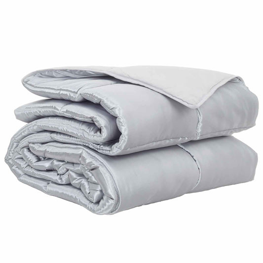 vidaXL Κουβέρτα ολόκληρου του χρόνου 220 x 260 cm 300 gsm Ασημί