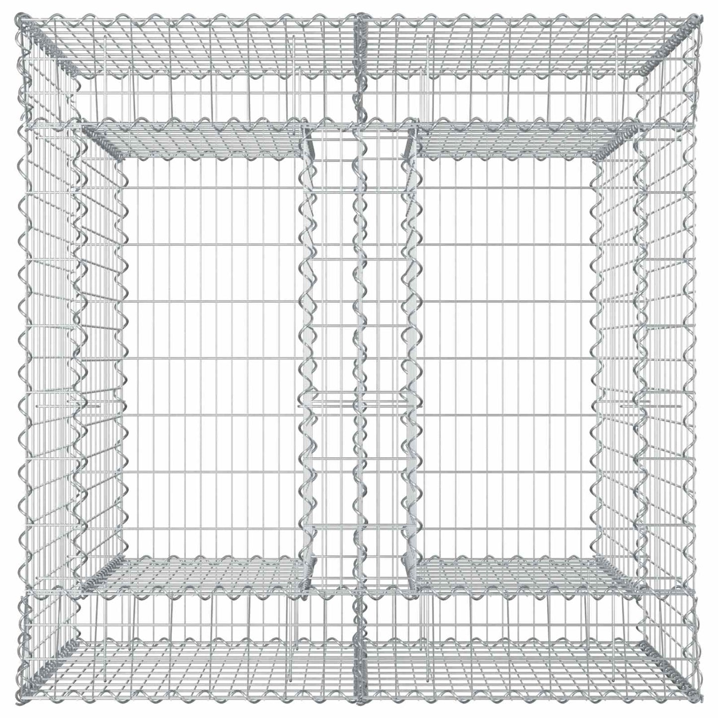 vidaXL Ανασηκωμένο κρεβάτι gabion 2 τμχ. 100 x 100 x 100 cm Ασημί
