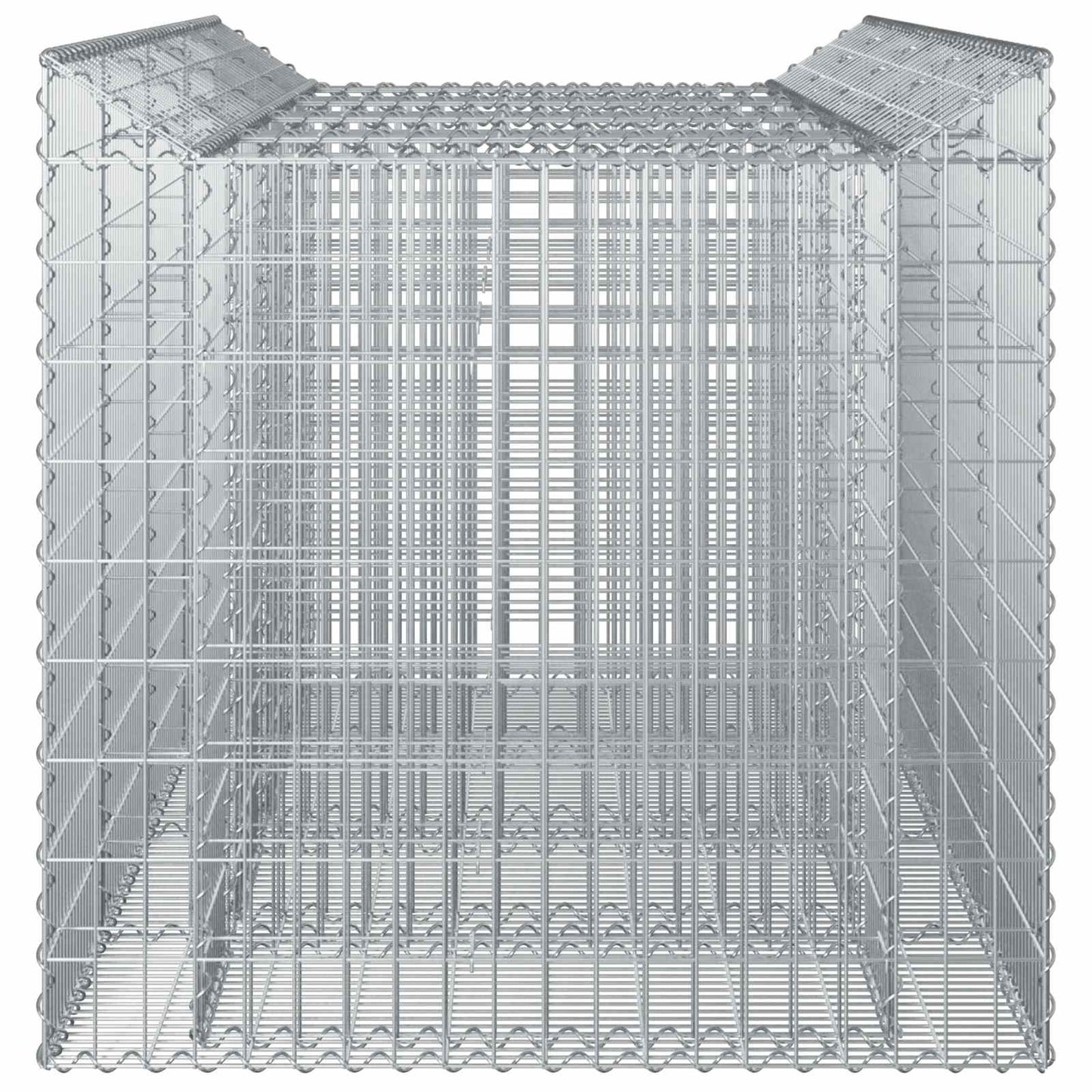 vidaXL Ανασηκωμένο κρεβάτι gabion 2 τμχ. 200 x 100 x 100 cm Ασημί