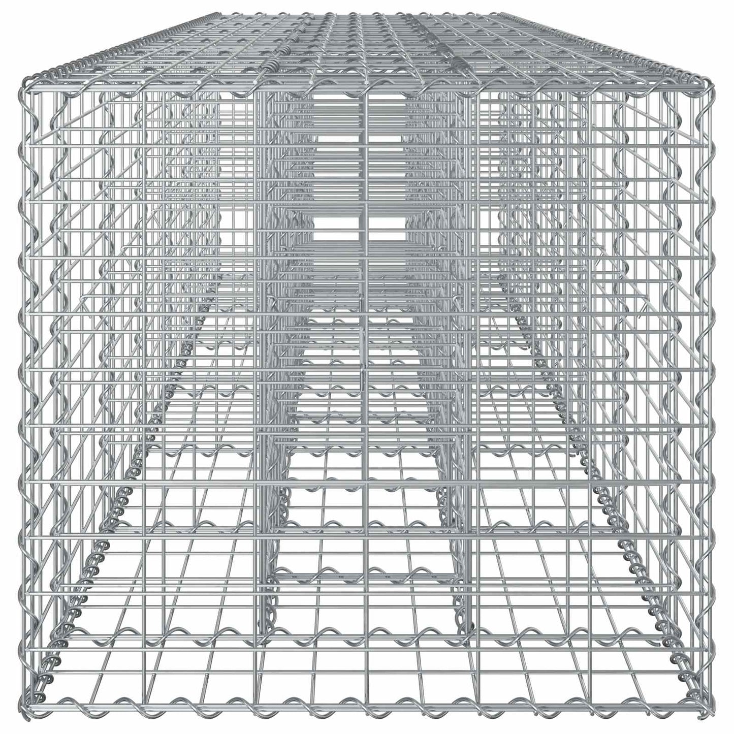 vidaXL Ανασηκωμένο κρεβάτι gabion 2 τμχ. 260 x 60 x 55 εκ Ασημί