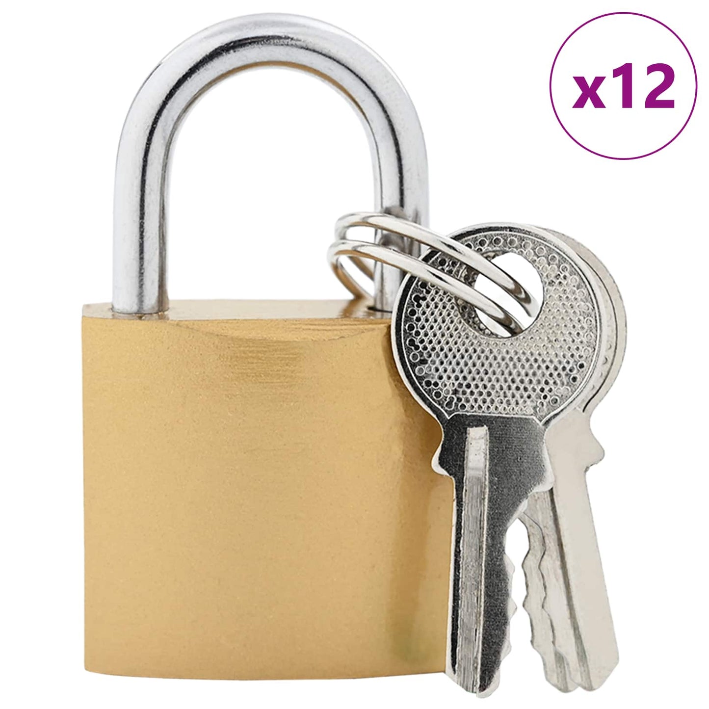 vidaXL Κλειδαριά U με Κλειδιά 12 pcs Ορείχαλκος Σίδερο