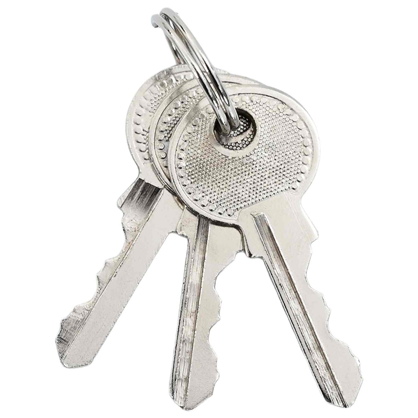 vidaXL Κλειδαριά U με Κλειδιά 50 pcs Ορείχαλκος Σίδερο