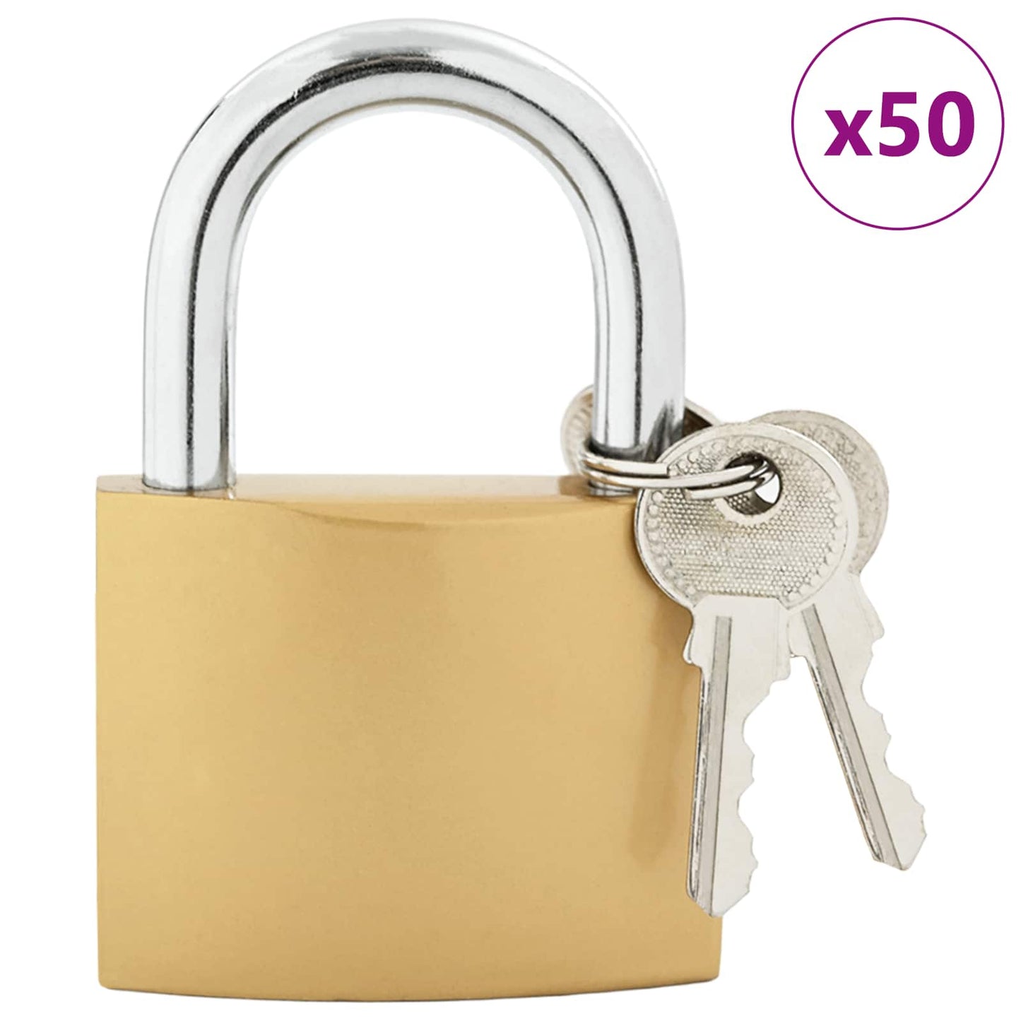 vidaXL Κλειδαριά U με Κλειδιά 50 pcs Ορείχαλκος Σίδερο