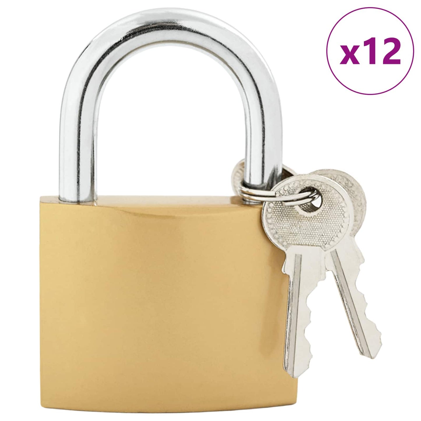 vidaXL Κλειδαριά U με Κλειδιά 12 pcs Ορείχαλκος Σίδερο