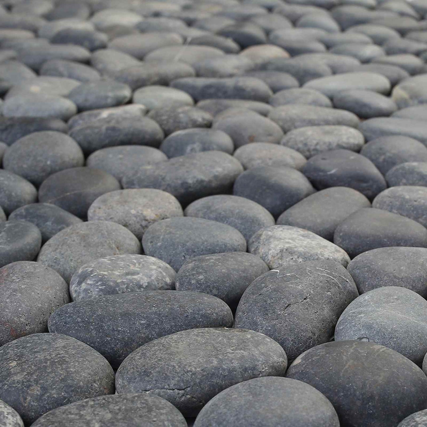 vidaXL Πέτρες Pebble Γκρι 30 x 30 cm Πέτρες Ποταμού
