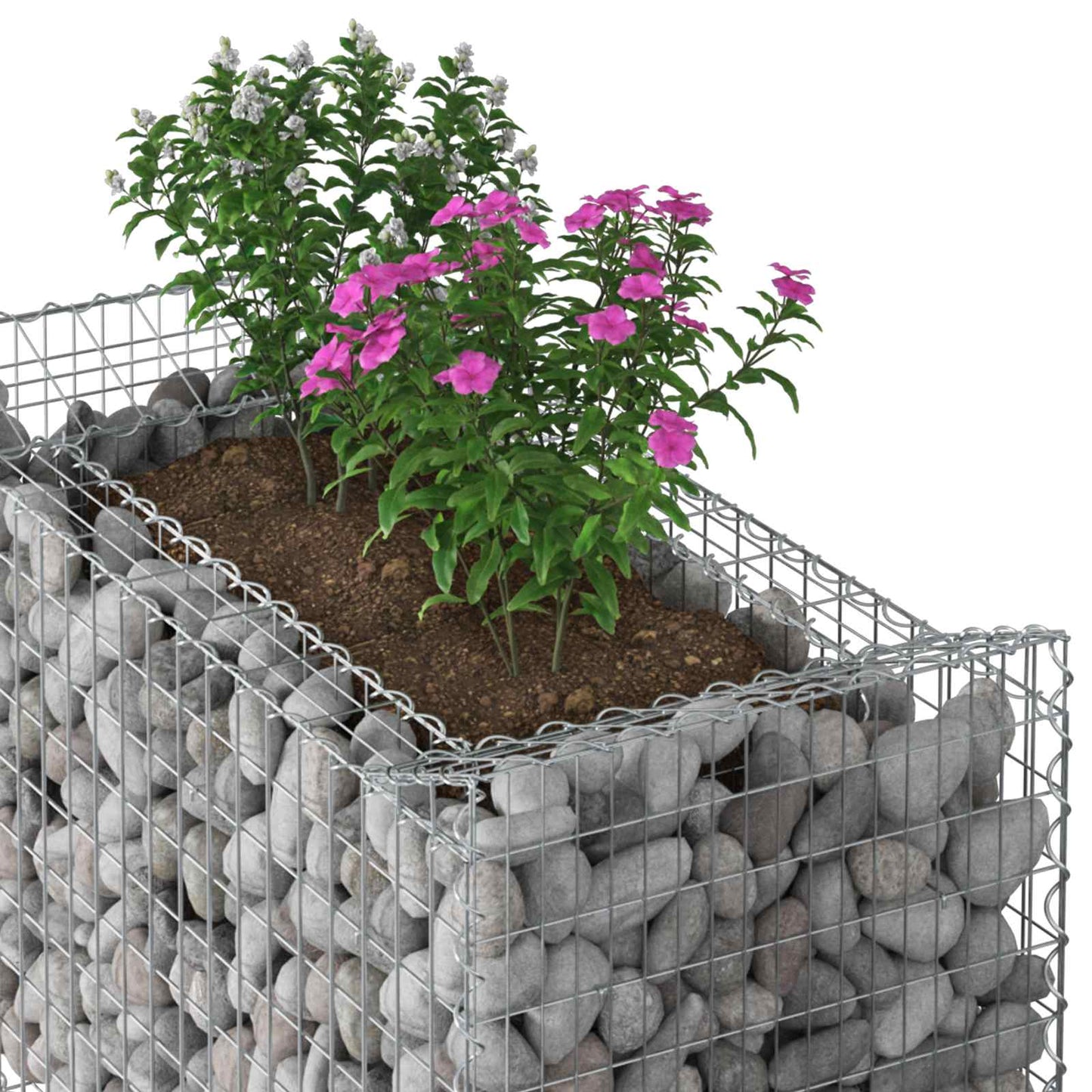 vidaXL Ανασηκωμένο κρεβάτι gabion Ασημί 50 x 100 x 60 εκ