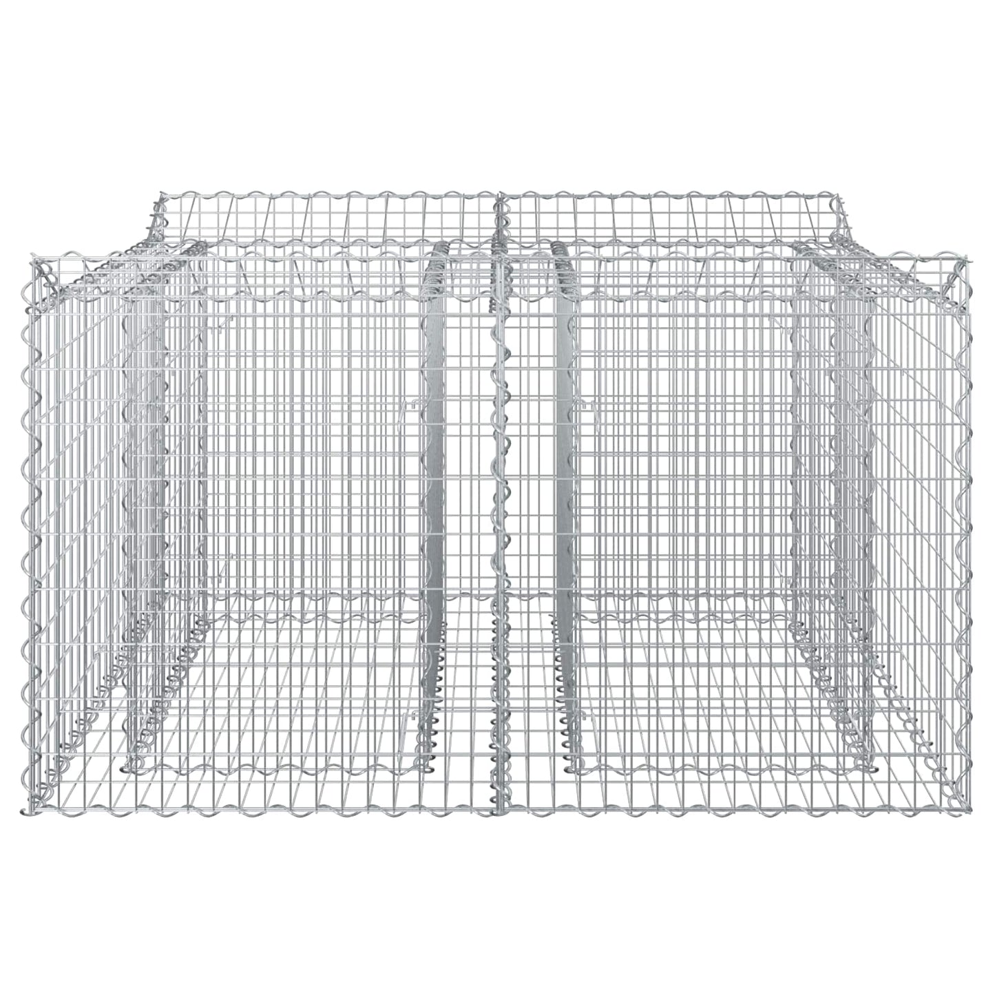 vidaXL Ανασηκωμένο κρεβάτι gabion Ασημί 100 x 100 x 60 εκ.