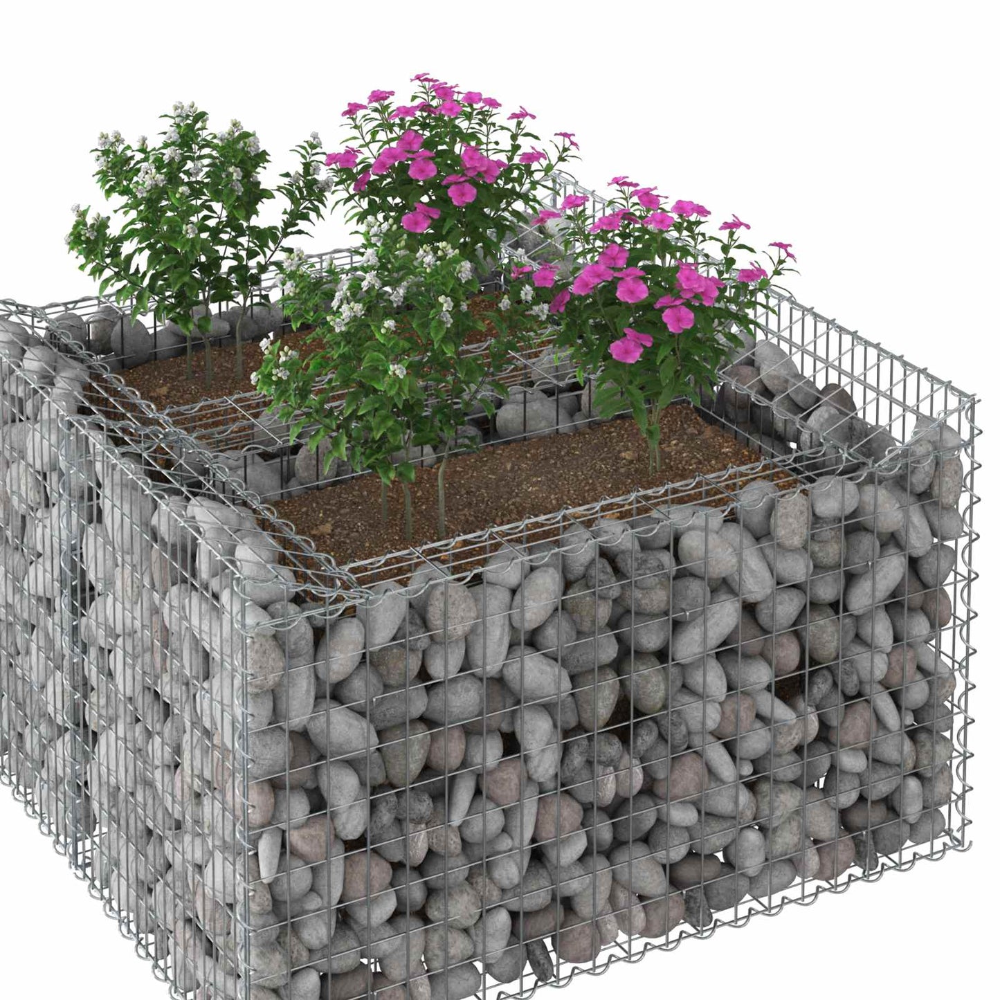 vidaXL Ανασηκωμένο κρεβάτι gabion Ασημί 100 x 100 x 60 εκ.