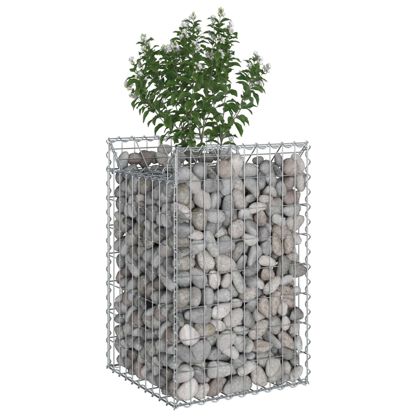 vidaXL Ανασηκωμένο κρεβάτι gabion Ασημί 50 x 50 x 80 cm