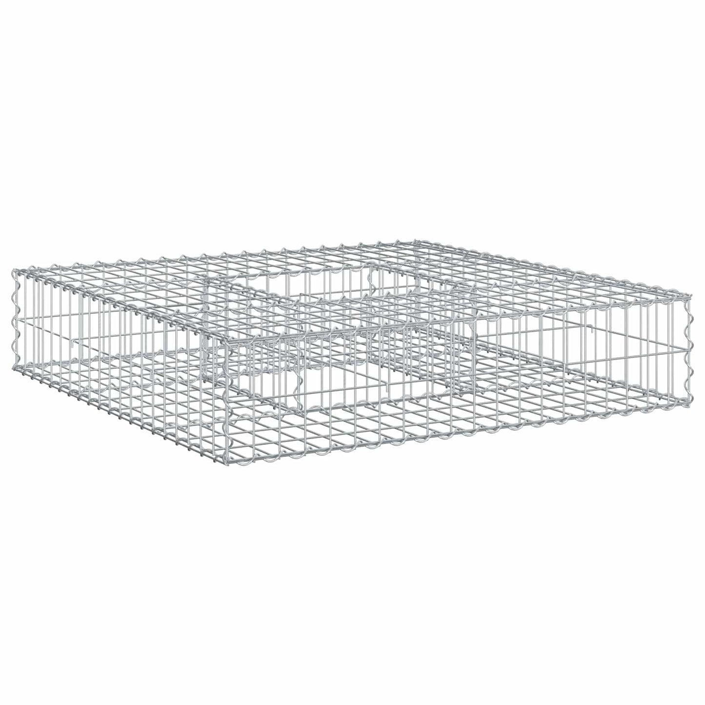 vidaXL Ανασηκωμένο κρεβάτι gabion 100 x 100 x 20 cm Ασημί