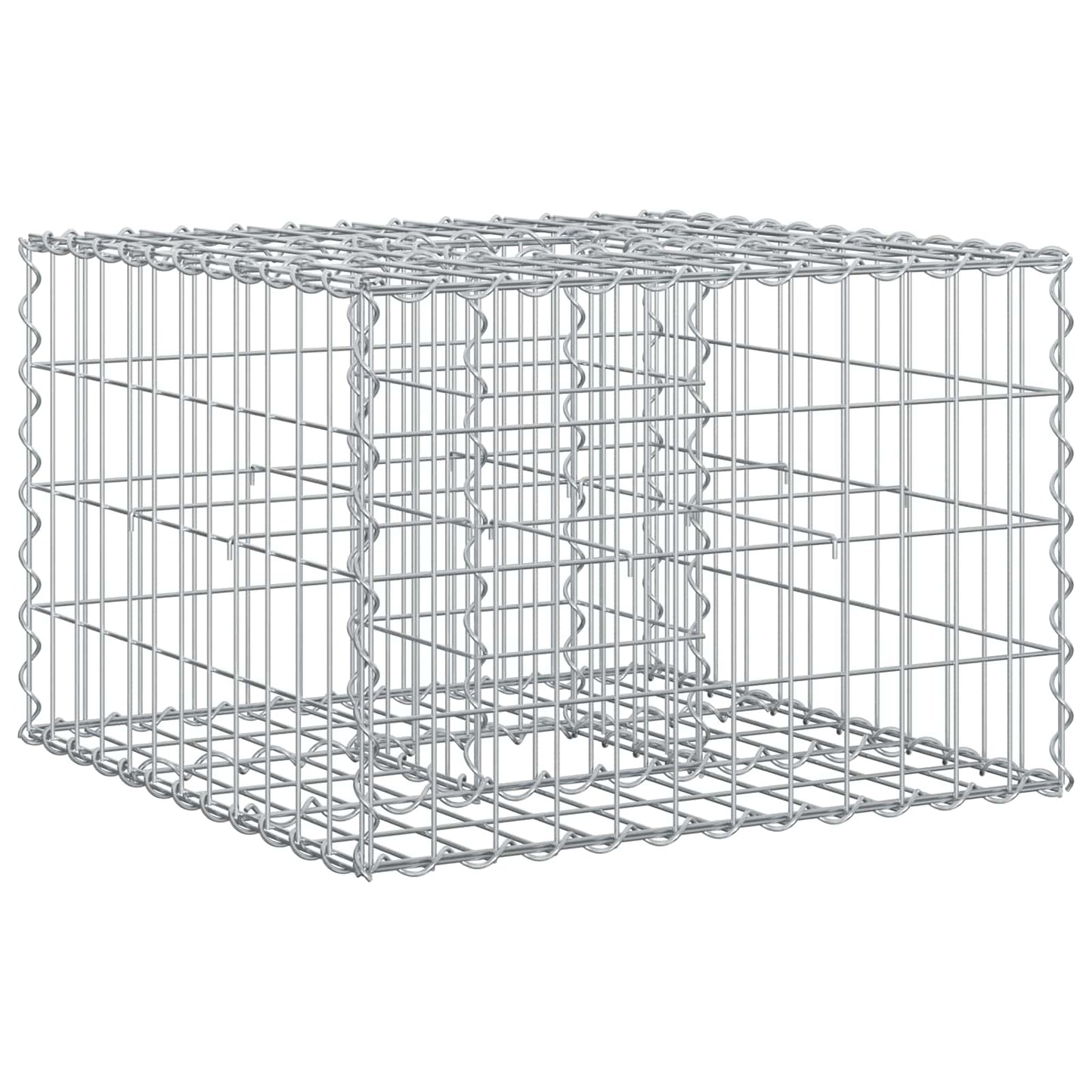 vidaXL Ανασηκωμένο κρεβάτι gabion 60 x 60 x 40 cm Ασημί