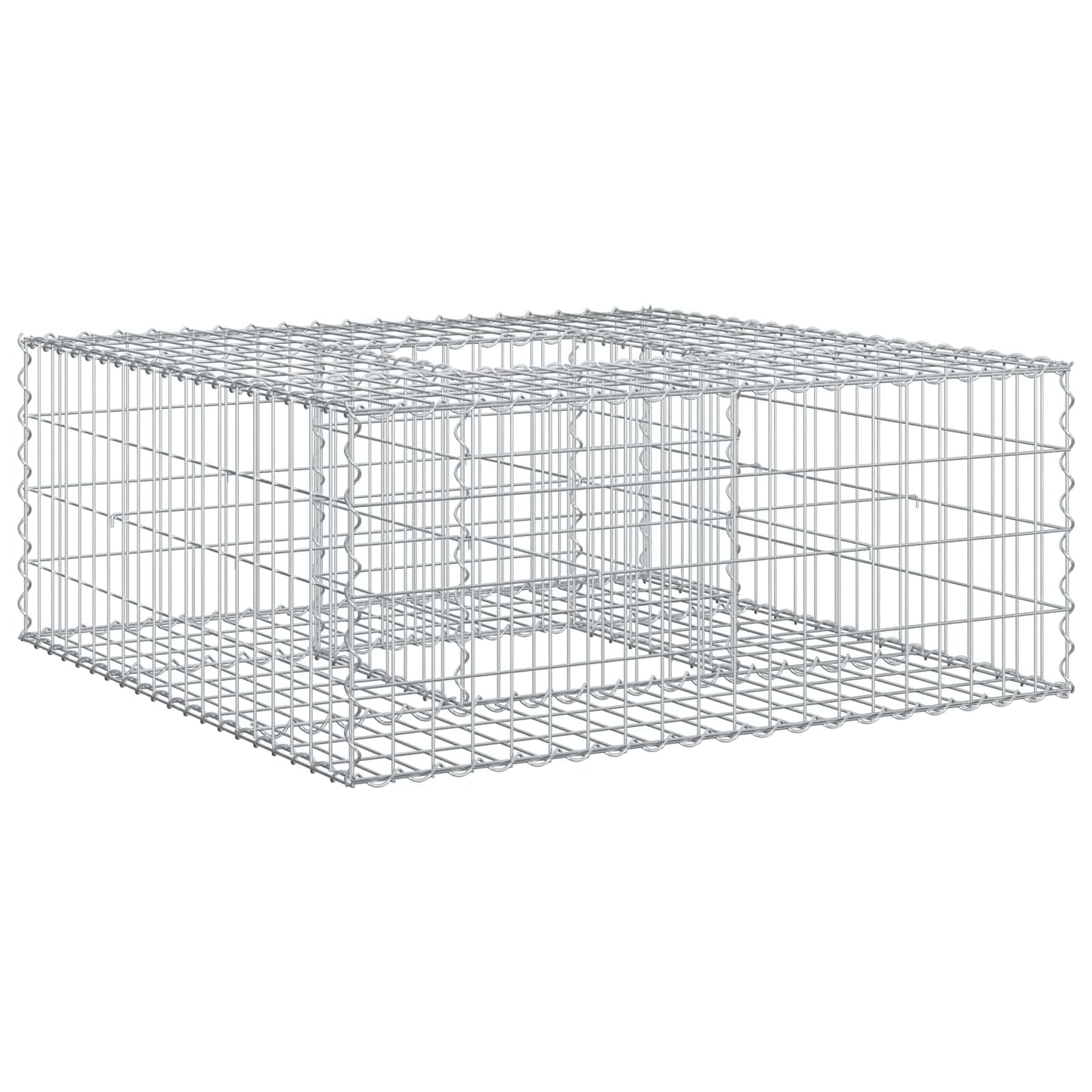 vidaXL Ανασηκωμένο κρεβάτι gabion 100 x 100 x 40 cm Ασημί