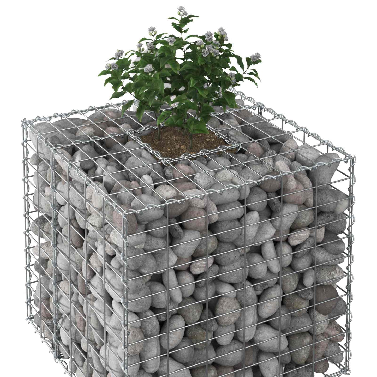 vidaXL Ανασηκωμένο κρεβάτι gabion Ασημί 60 x 60 x 55 εκ