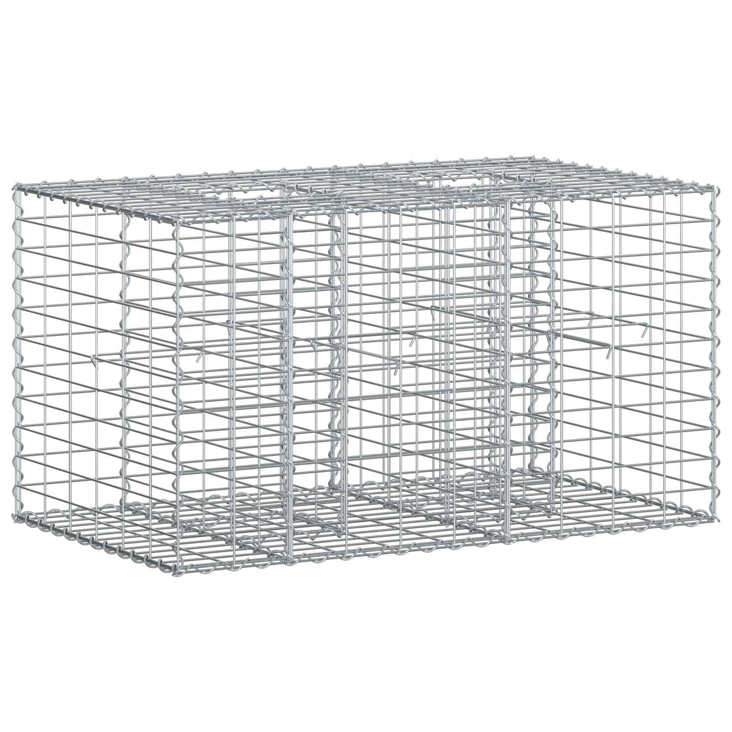 vidaXL Ανασηκωμένο κρεβάτι gabion Ασημί 100 x 60 x 55 εκ