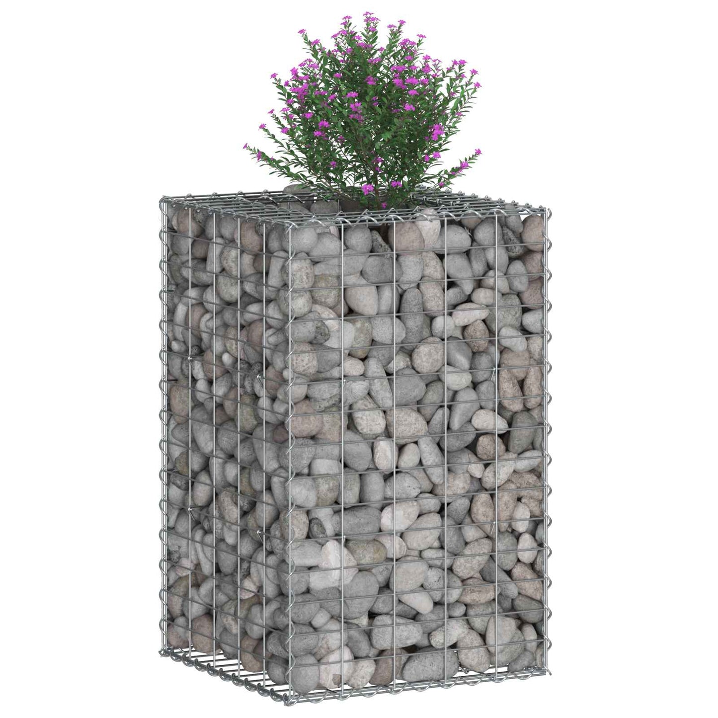 vidaXL Ανασηκωμένο κρεβάτι gabion Ασημί 50 x 50 x 80 cm