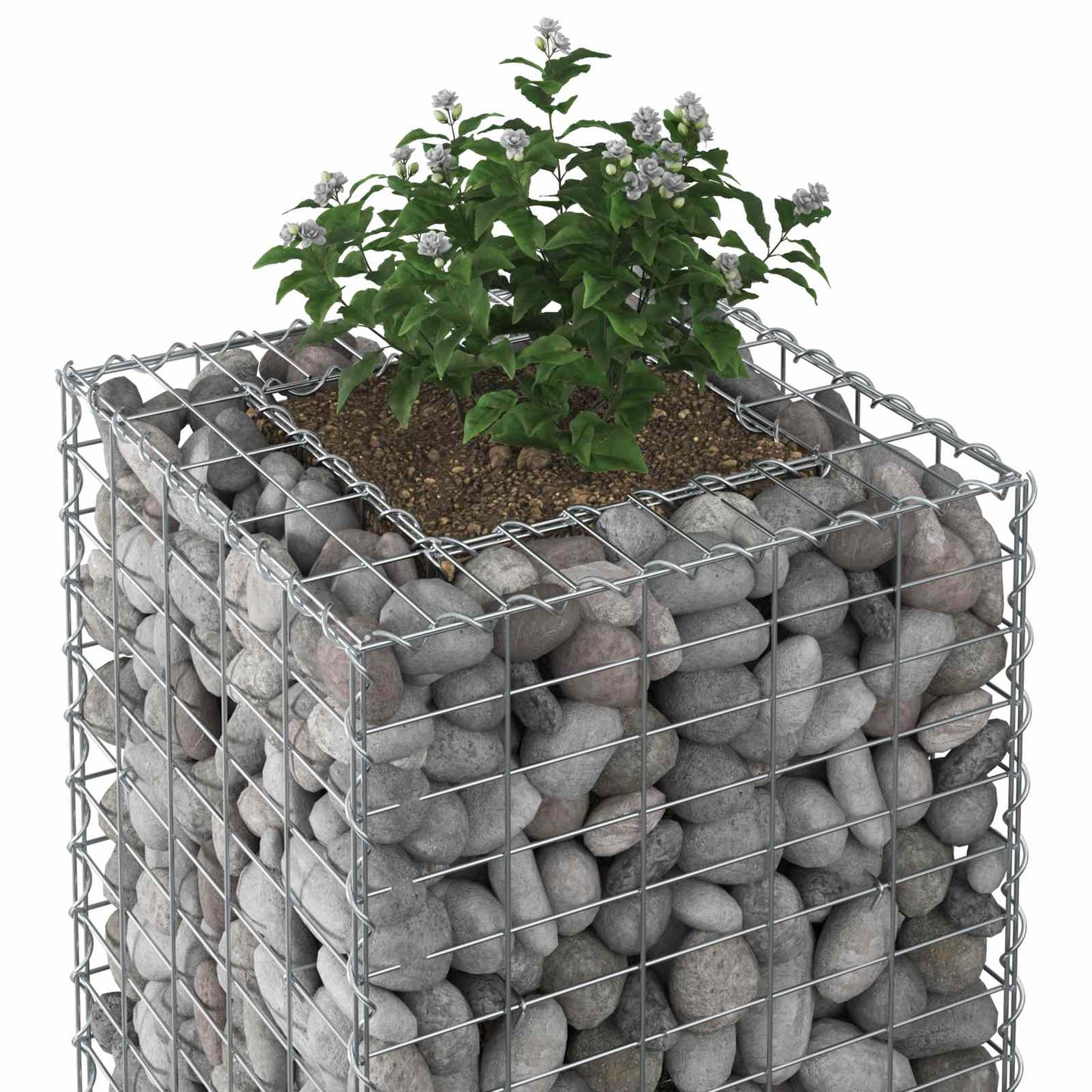 vidaXL Ανασηκωμένο κρεβάτι gabion Ασημί 50 x 50 x 80 cm