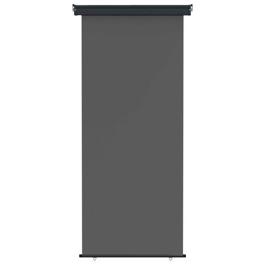 vidaXL Αυλούπα Πλευράς Μπαλκονιού 80 x 250 cm