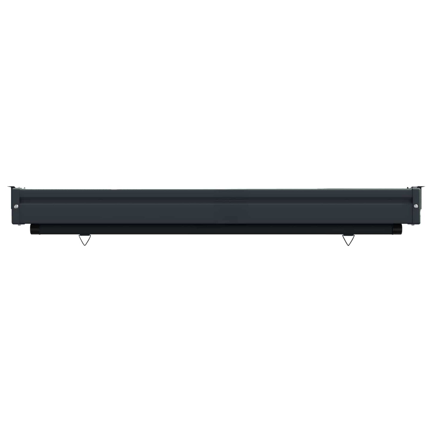 vidaXL Αυλούπα Πλευράς Μπαλκονιού 100 x 250 cm