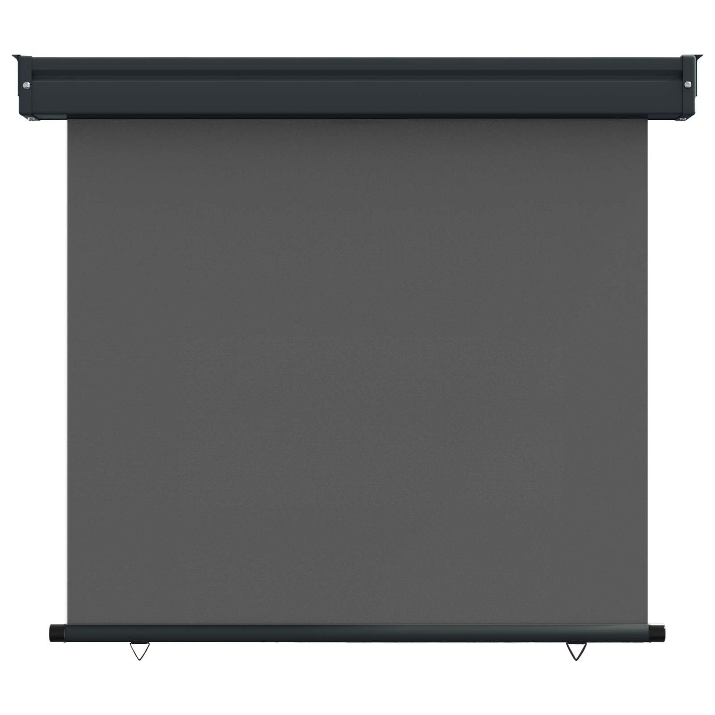 vidaXL Αυλούπα Πλευράς Μπαλκονιού 100 x 250 cm