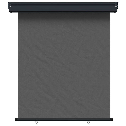 vidaXL Αυλούπα Πλευράς Μπαλκονιού 117 x 250 εκ