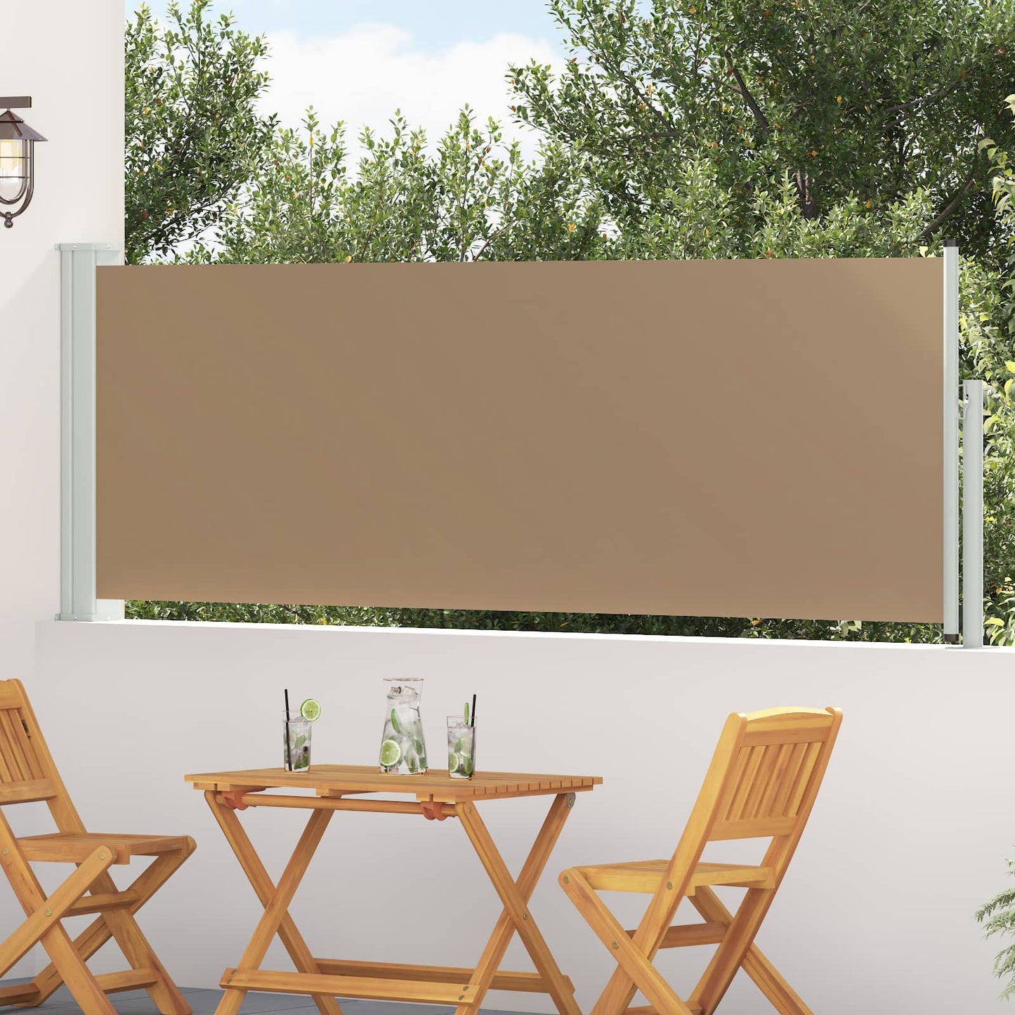 vidaXL Ανακλινόμενος Πλευρικός Απλώστρα 300 x 100 cm Πολυεστέρας