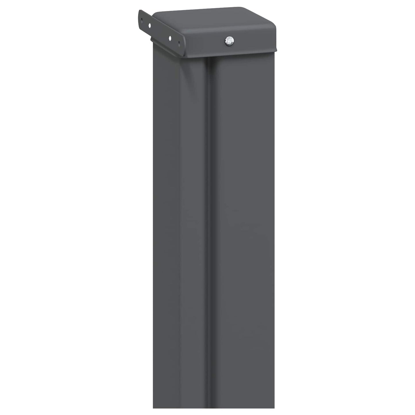 vidaXL Ανακλινόμενος Πλευρικός Απλώστρα 100 x 300 cm